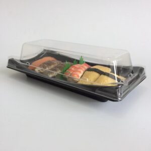 Sushi Tray and Bento